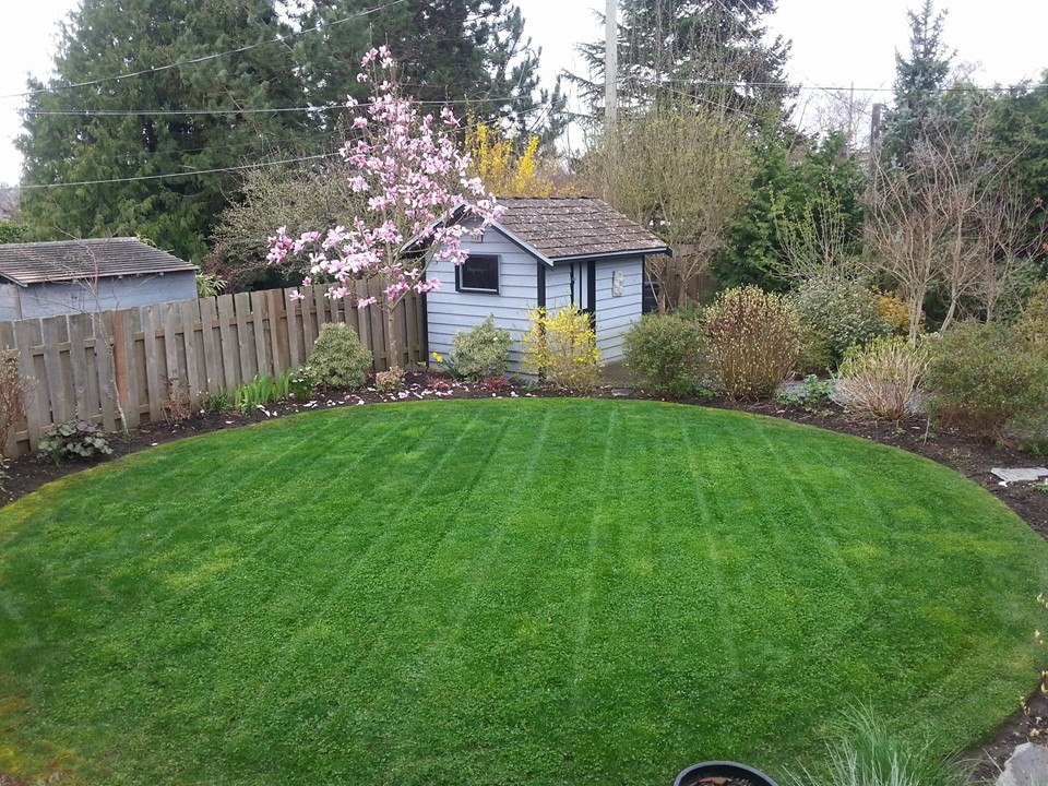 No Lawn is too small.